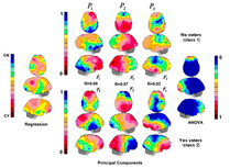 votersbrainmapsPC