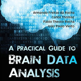 Brain Data Analysis